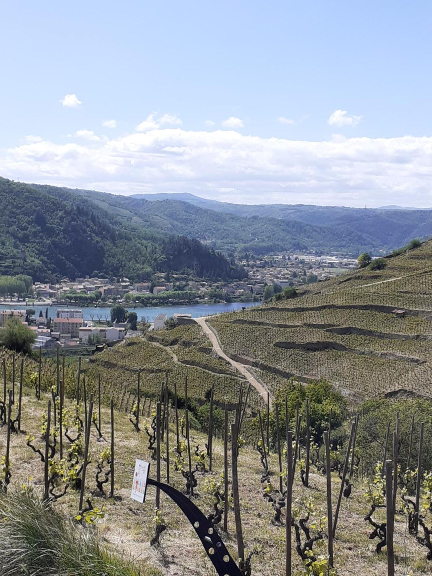 Gite Du Vigneron A La Terrasse Piscine Local Velos Tournon-sur-Rhone Eksteriør bilde